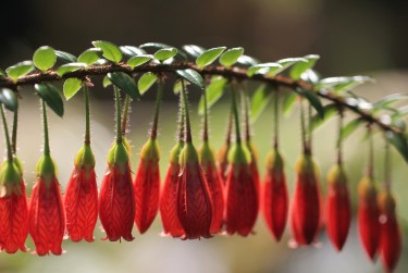 肇庆高要区9私人快速借钱网，轻松解决资金难题