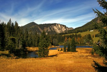 肇庆高要区9民间私贷攻略：揭秘低成本借贷的秘密