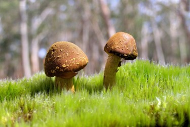 肇庆高要区9私人老板放款：轻松融资的秘密通道